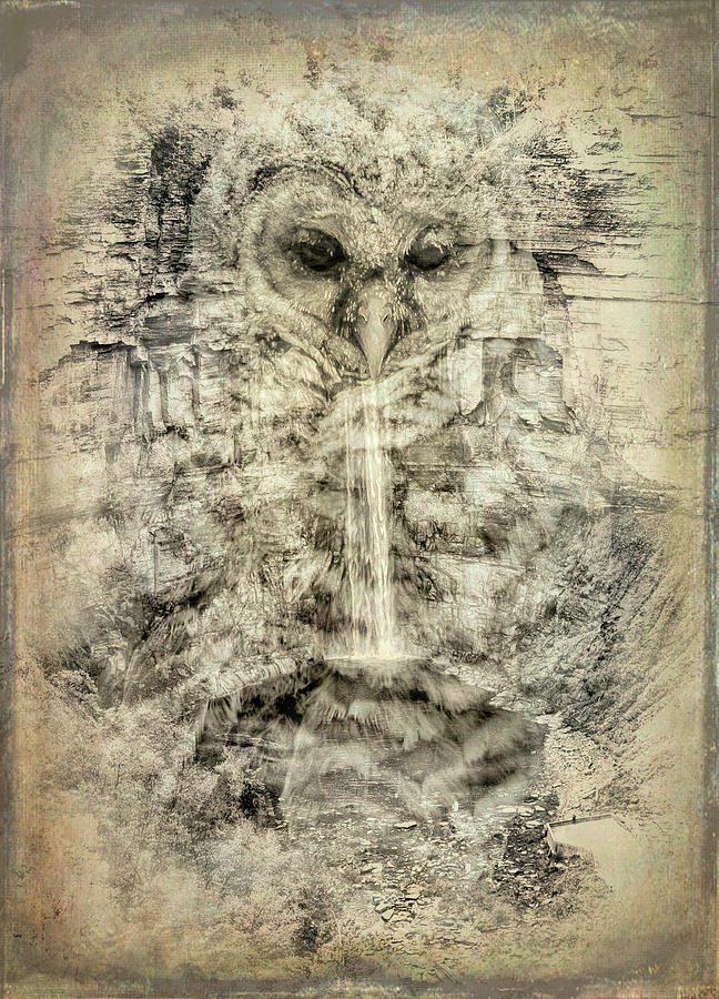 Textured Owl Waterfall Mixed Media by Dan Sproul