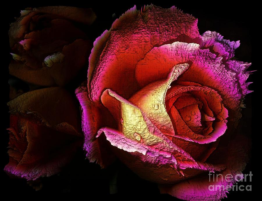 Textured Rose Digital Art