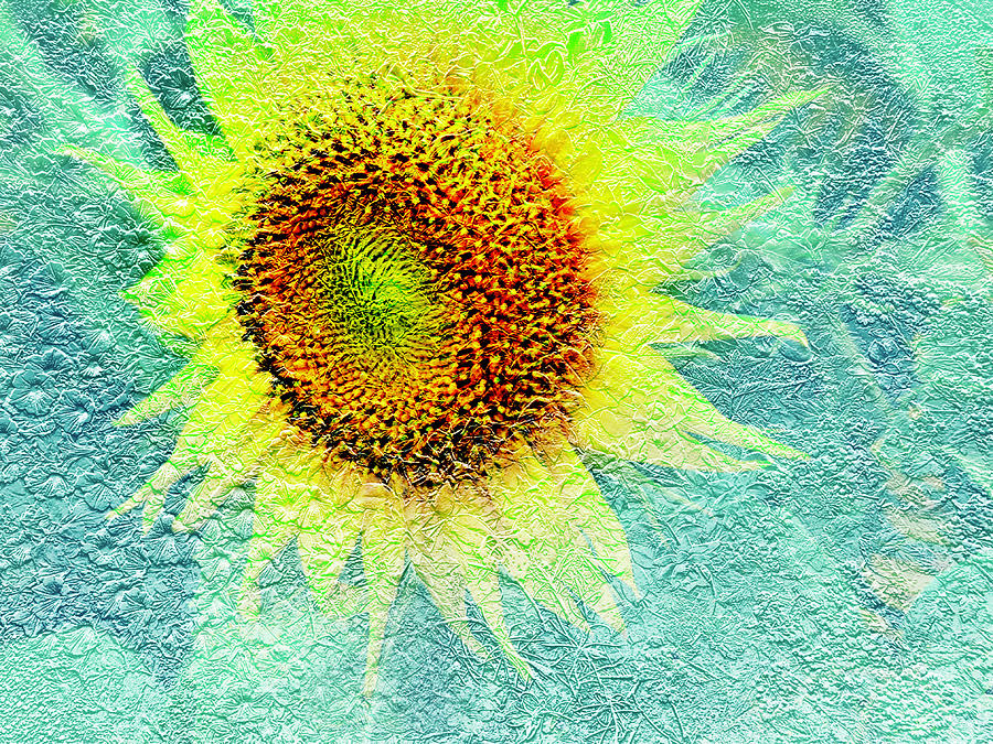 Textured Sunflower Design Photograph by Aimee L Maher ALM GALLERY