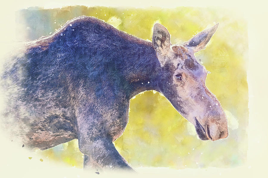 Textured Watercolor Moose In Autumn Mixed Media by Dan Sproul