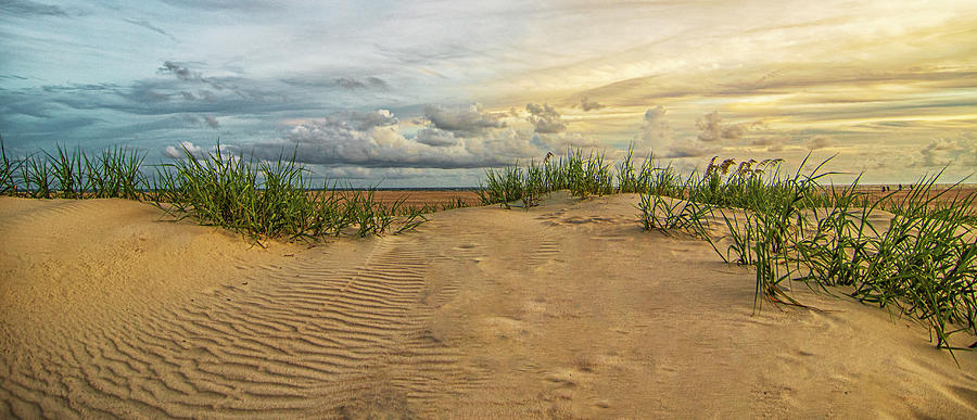Textures in the Sand - Beach Dune at Emerald Isle NC Photograph by Bob Decker