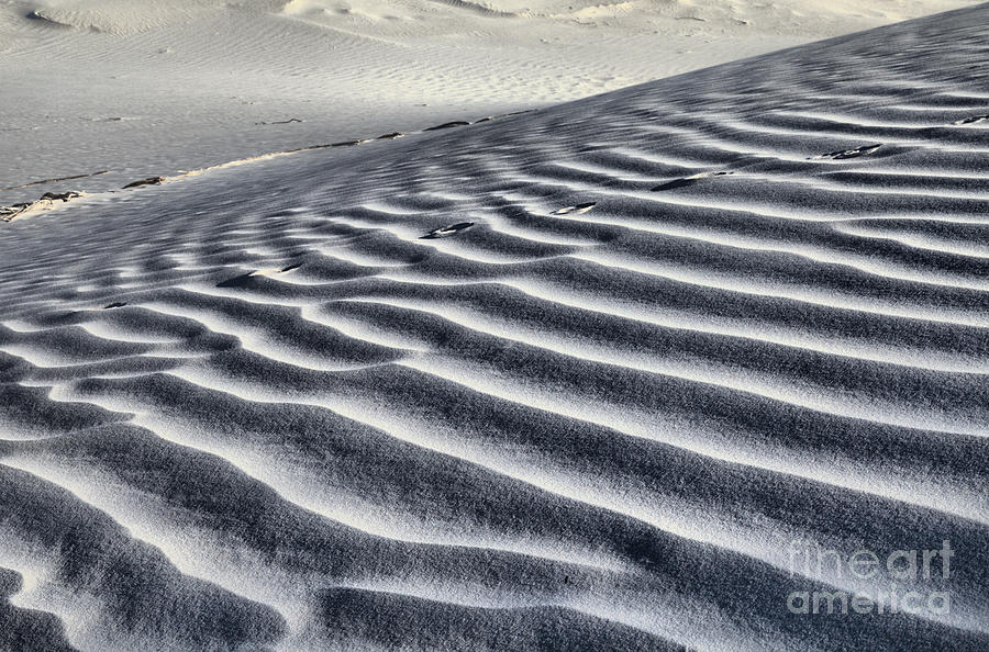 Textures In The Texas Gypsum Dunes Photograph by Adam Jewell