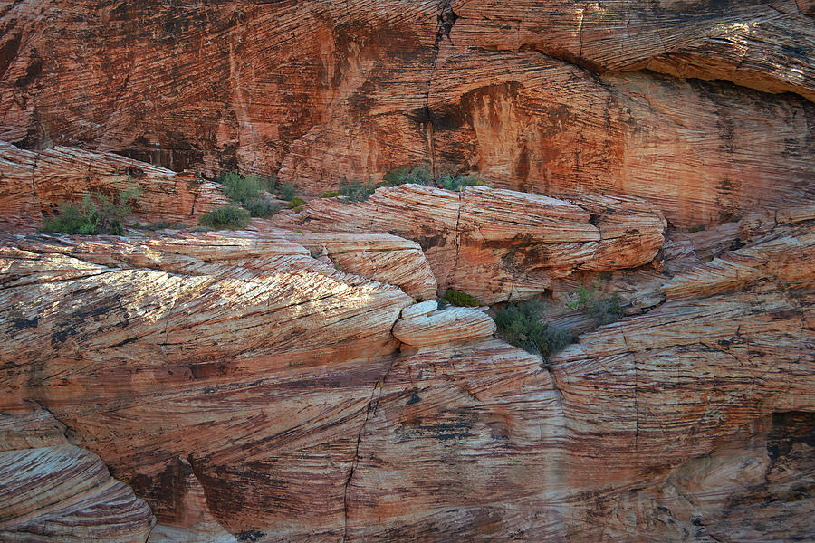 Textures Of Red Rock Canyon Nevada Photograph