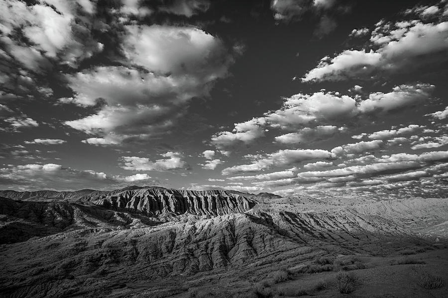 Textures Of The Desert Photograph