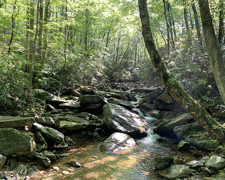 Tha Crick Photograph by Lee Darnell Tha Crick Photograph by Lee Darnell