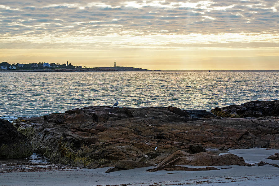 Thacher Island Lighthouse from Long Beach Rockport MA at Sunrise Photograph by Toby McGuire