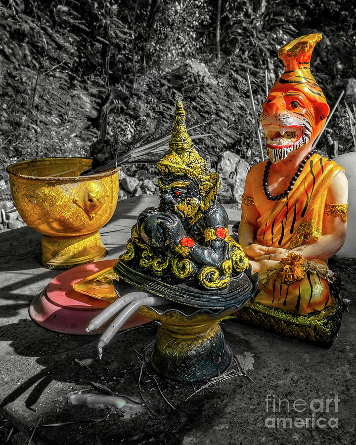 Thai Buddha Statues Photograph by Adrian Evans