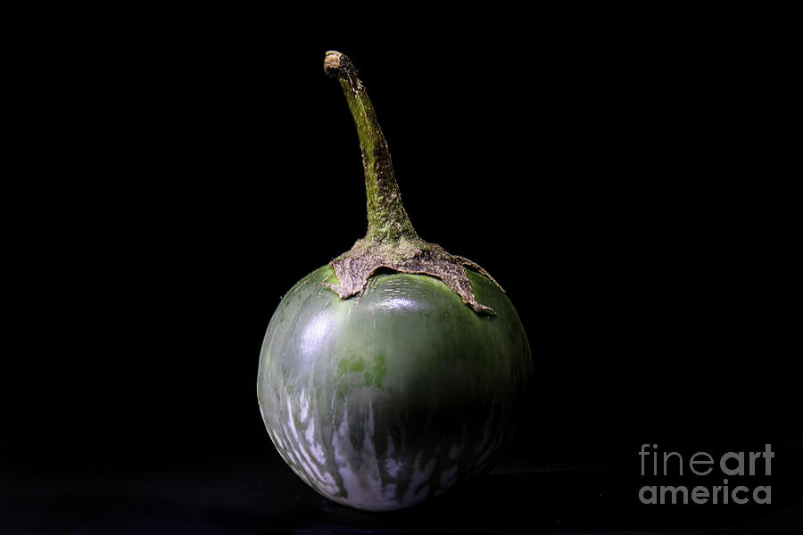 Vegetable Photograph - Thai Eggplant by Elisabeth Lucas
