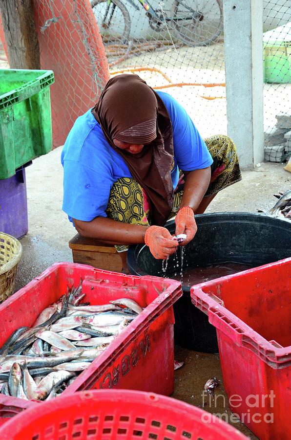 Thai Muslim woman in sarong and headscarf guts and cleans fish Pattani Thailand Photograph by Imran Ahmed