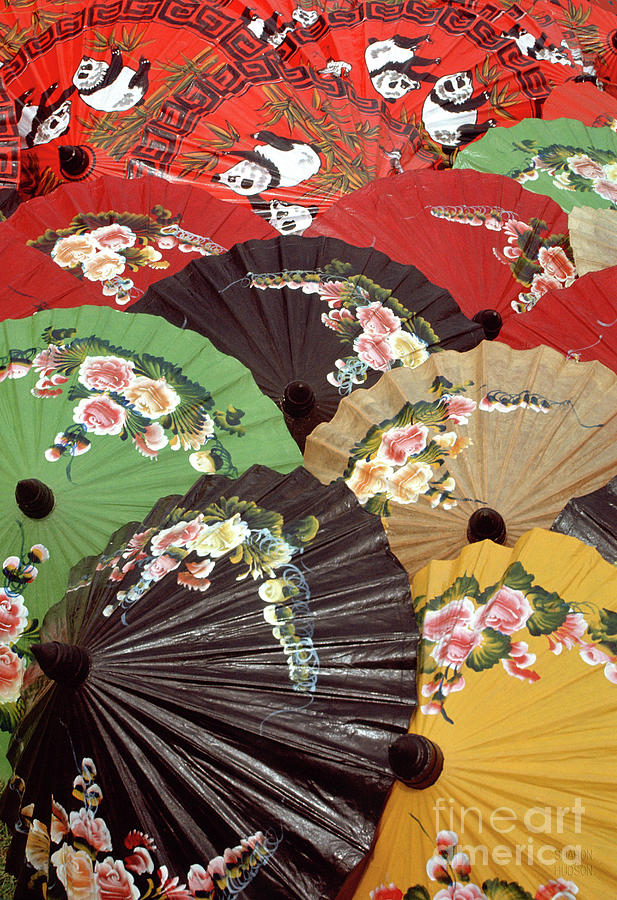 Thai parasols - Panda Parasols Photograph by Sharon Hudson