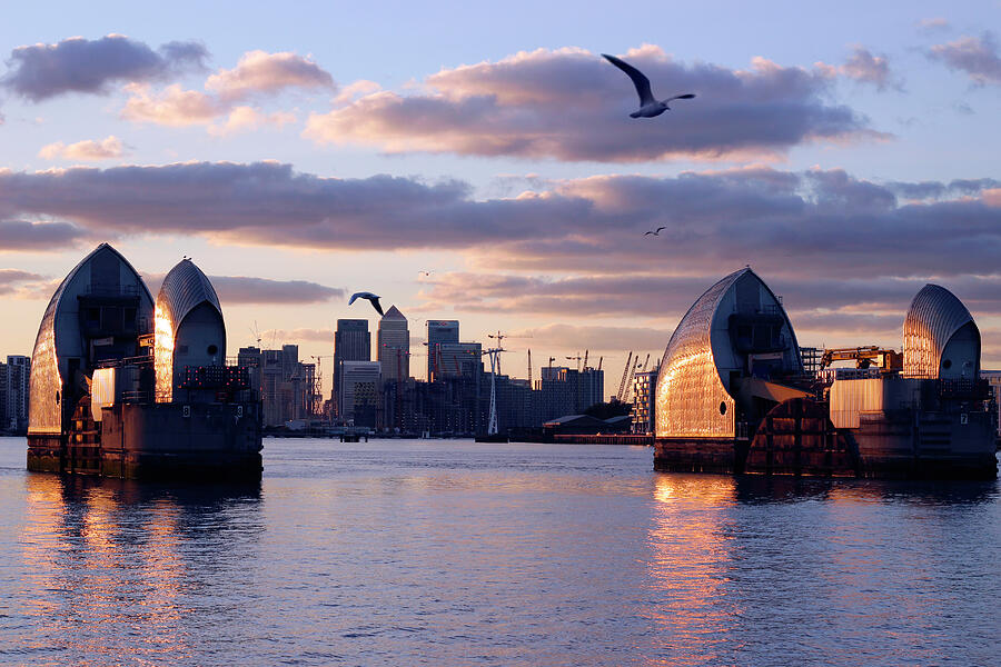 Thames Barrier and seagulls Photograph by Helga Novelli