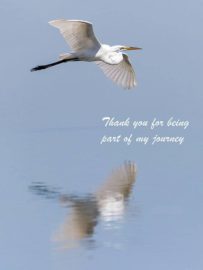 Thank you for being part of my journey Photograph by Dawn Currie
