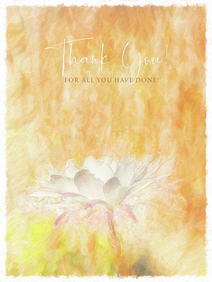 Thank You for Everything Digital Art by Terry Davis