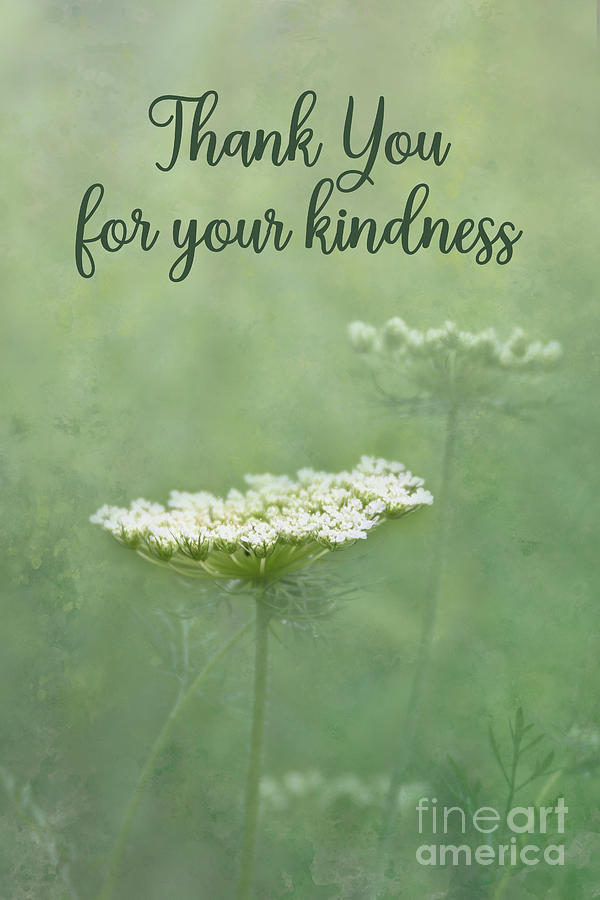 Thank You For Your Kindness Photograph By Amy Dundon