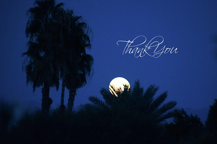 Thank You Full Moon Photograph by Bonnie Colgan