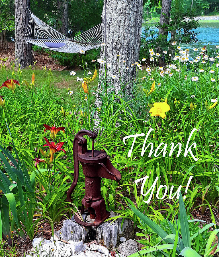 Thank You Greeting Card  Photograph by Ola Allen