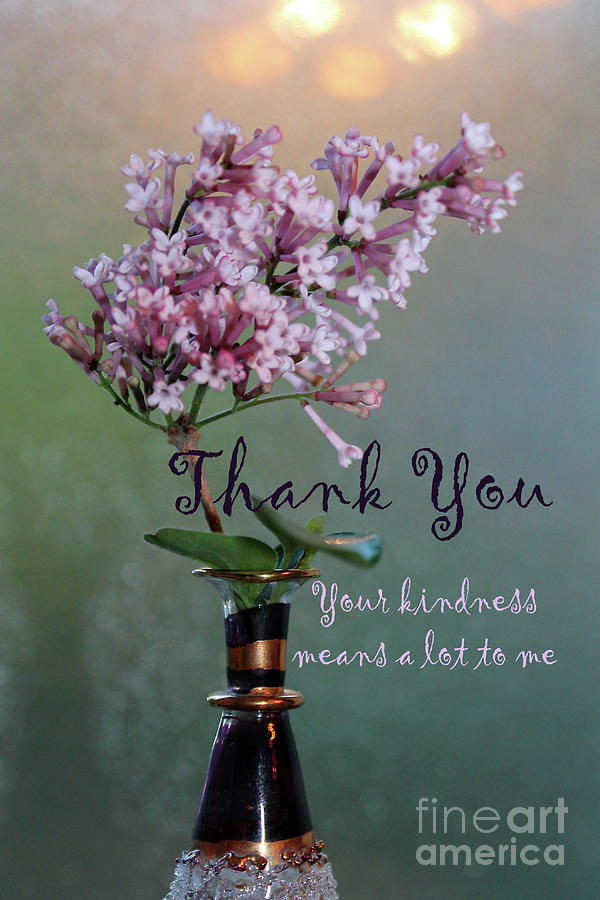 Thank You Lilacs Photograph by Nina Silver