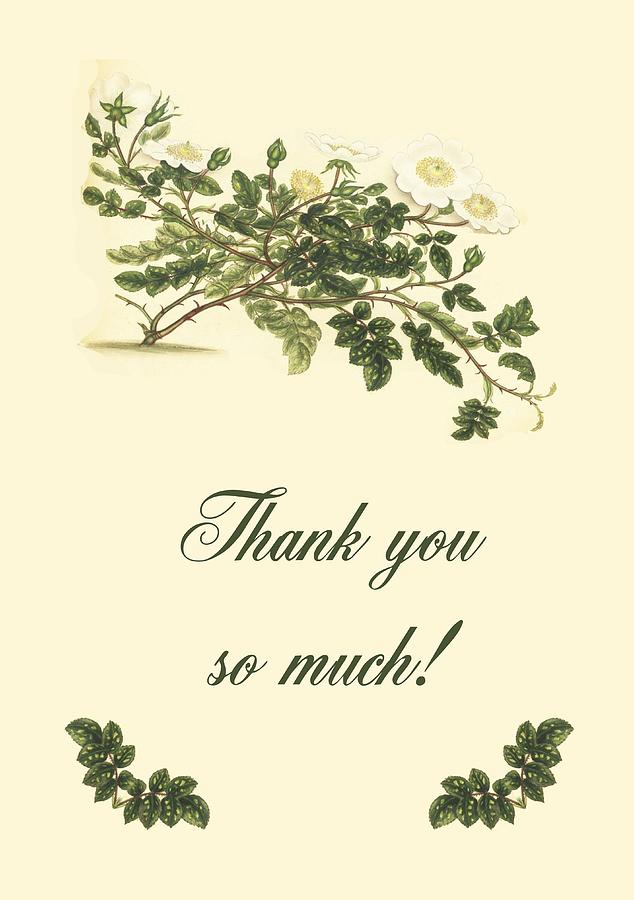 Thank you Rose Card Digital Art by Emmie Norfolk - Fine Art America