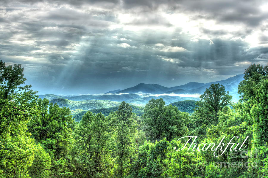 2016 Photograph - Thankful by Larry Braun 2016 Photograph - Thankful by Larry Braun