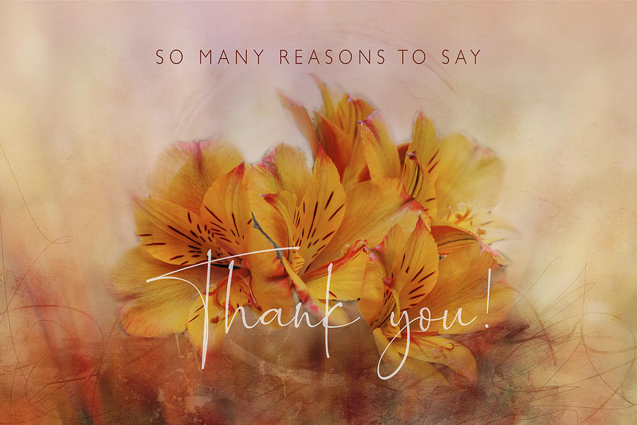 Thanks for Many Reasons Digital Art by Terry Davis
