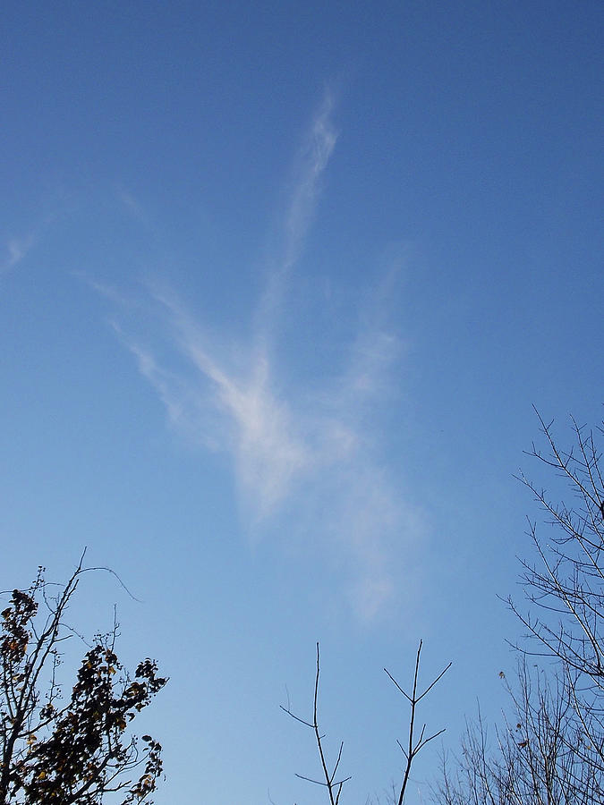 Thanksgiving Angel Clouds Photograph by Matthew Seufer