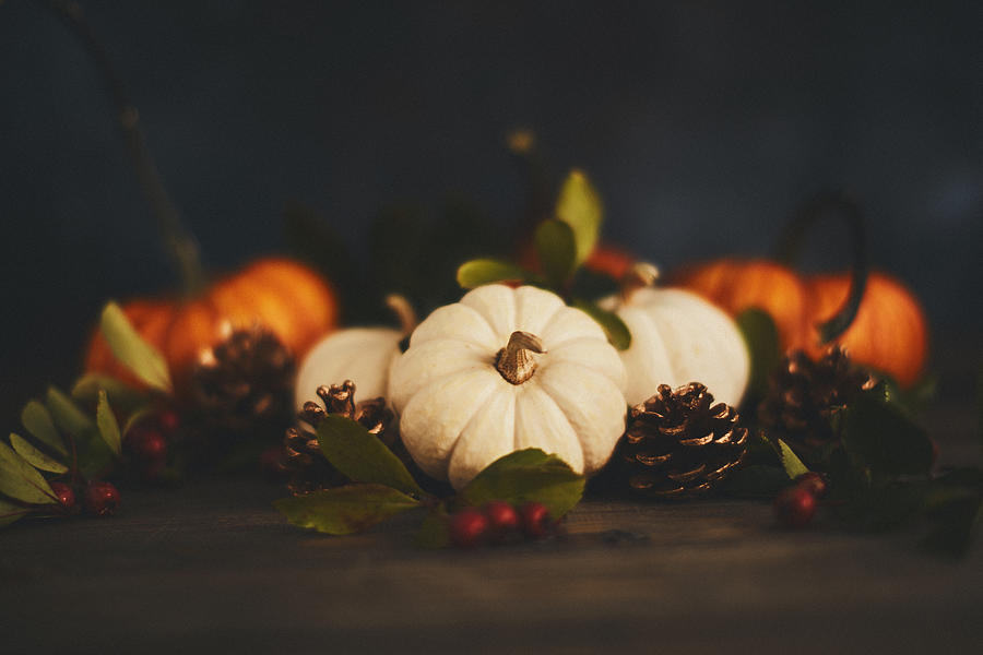 Thanksgiving arrangement with pumpkin variety and berries Photograph by CatLane
