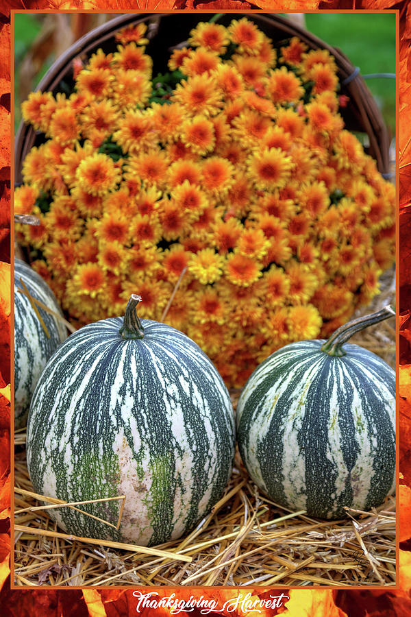 Thanksgiving Harvest Photograph by Robert Harris