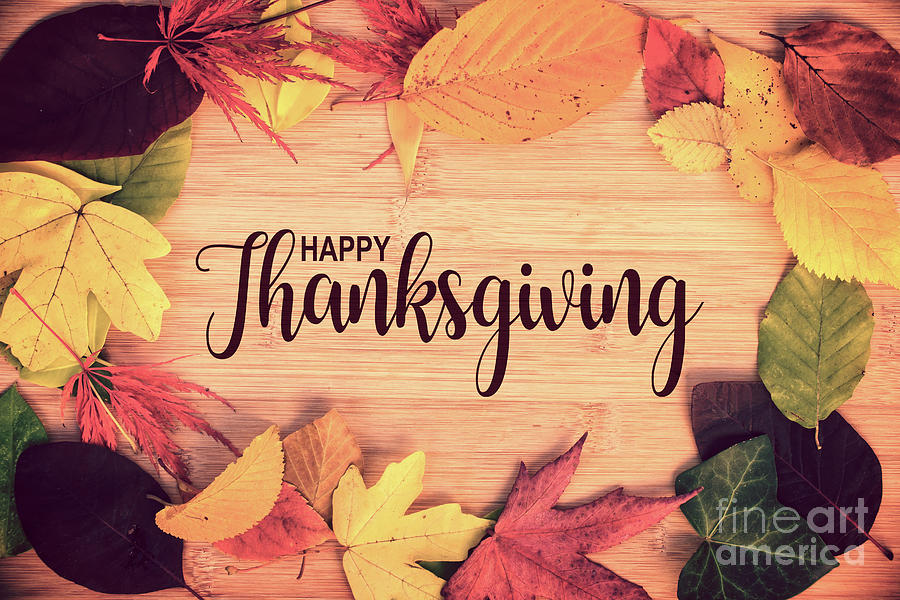 Thanksgiving leaves Photograph by Delphimages Photo Creations - Fine ...