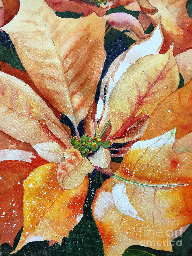 Thanksgiving Poinsettia Painting by Bonnie Young