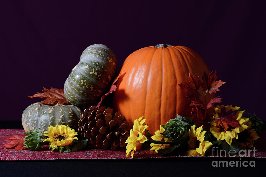 Thanksgiving Photograph - Thanksgiving pumpkin centerpiece by Milleflore Images