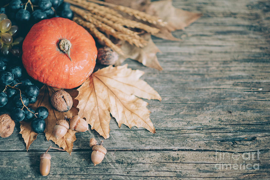Thanksgiving pumpkin on rustic wooden table from above Photograph by Jelena Jovanovic