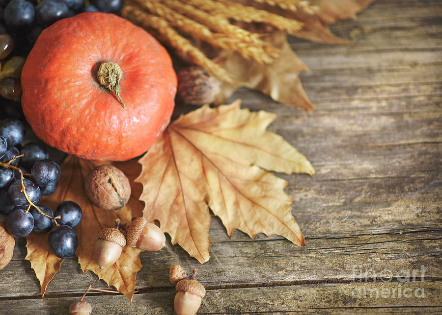 Thanksgiving pumpkin with autumnal fruits on wooden table Photograph by Jelena Jovanovic