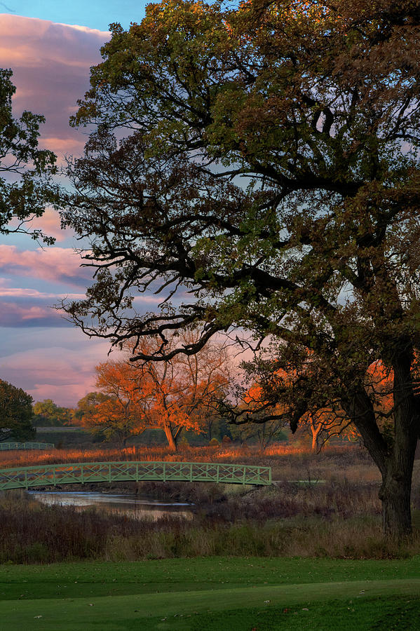 that-earthy-smell-of-autumn-photograph-by-adam-bykowski-fine-art-america