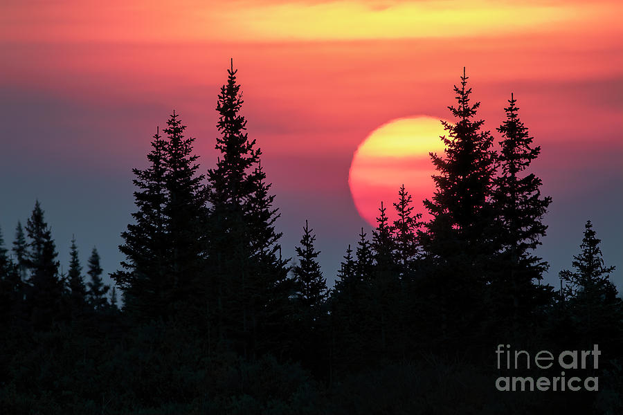 Mountain Sunrise Photograph - That Lucky Old Sun by Jim Garrison