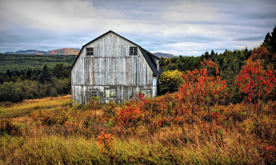 Fall Photograph - That old barn by Tatiana Travelways
