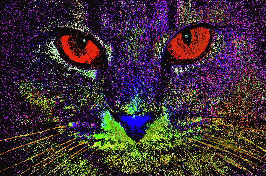 That you, puss cat? Digital Art by Andy i Za | Fine Art America