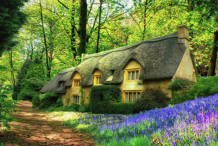Thatched Bluebell Cottage  Photograph by Alison Chambers