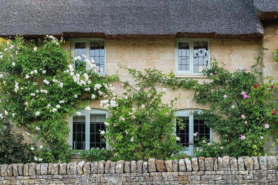 Thatched Cottage and Roses Taynton Cotswolds Photograph by Tim Gainey