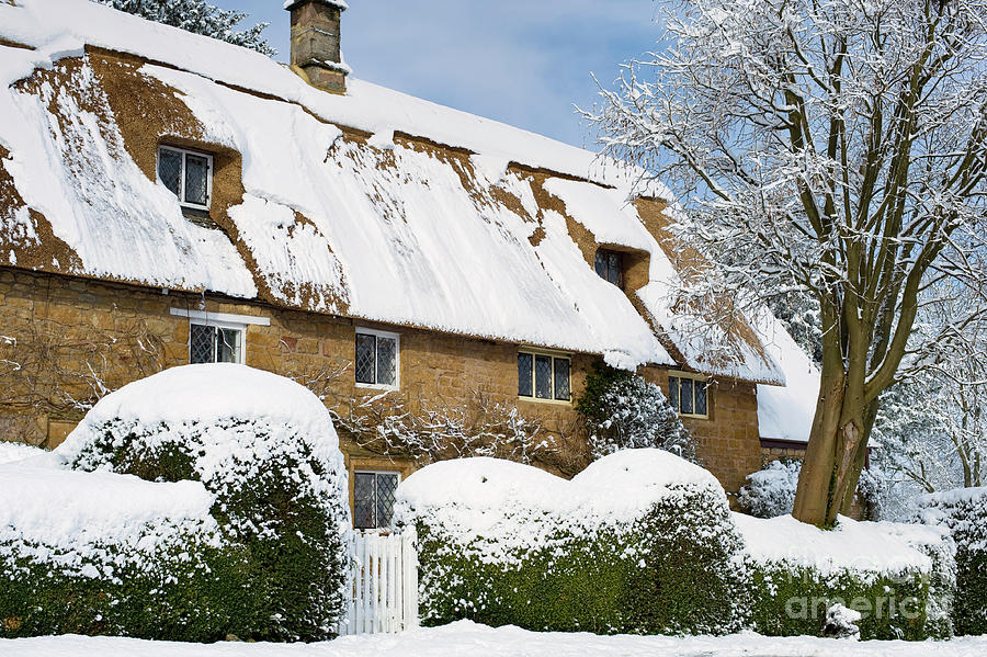 Thatched Cottage in the Snow Great Tew Photograph by Tim Gainey
