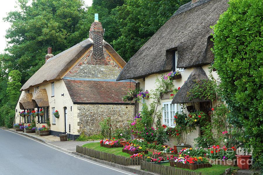 Thatched Cottages in Dorset Photograph by David Birchall