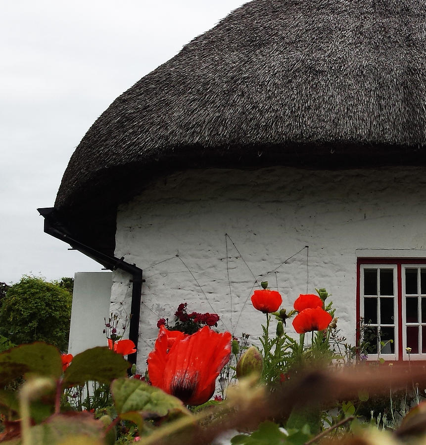 Thatched Roof Irish House Photograph by Joelle Philibert