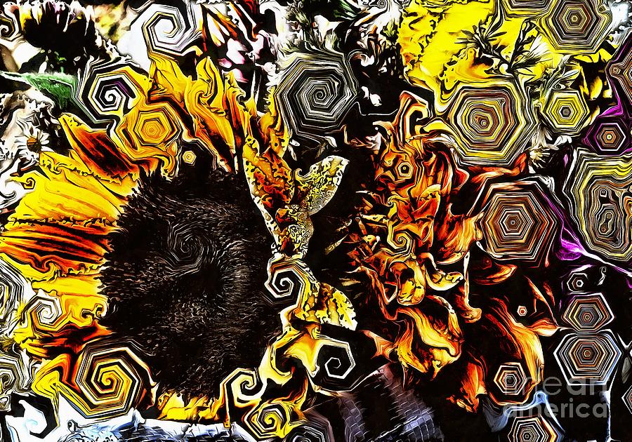 Thats One Funky Sunflower Photograph by Sea Change Vibes