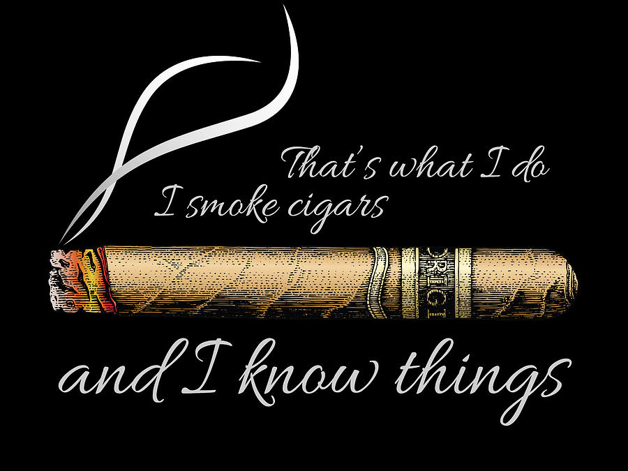 Thats What I Do I Smoke Cigars I Hate People Bear Drinking 2 Painting by Tony Rubino