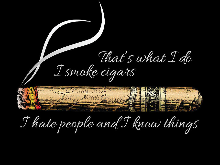 Thats What I Do I Smoke Cigars I Hate People Bear Drinking Painting by Tony Rubino