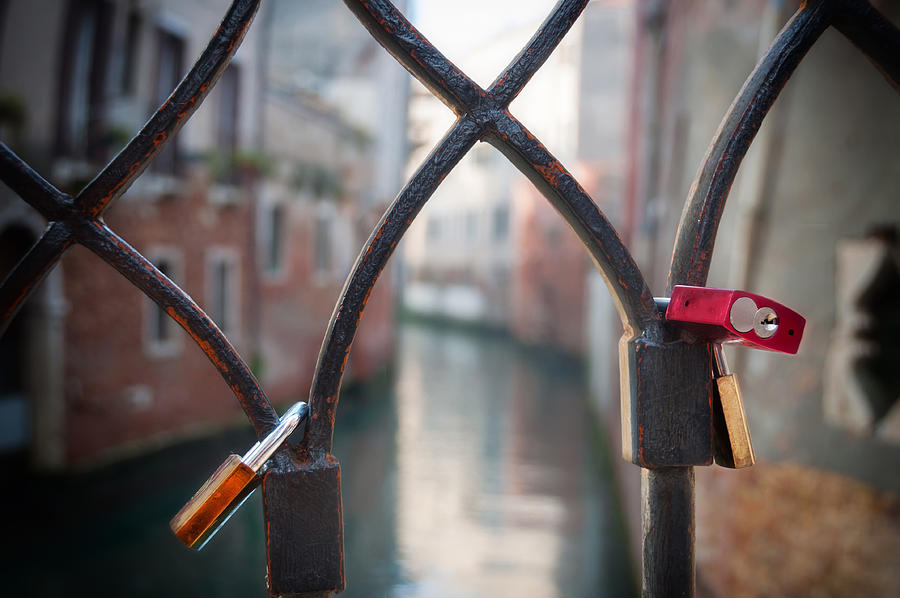 The  Love Padlocks   on a bridge in Venice Photograph by PaoloBis