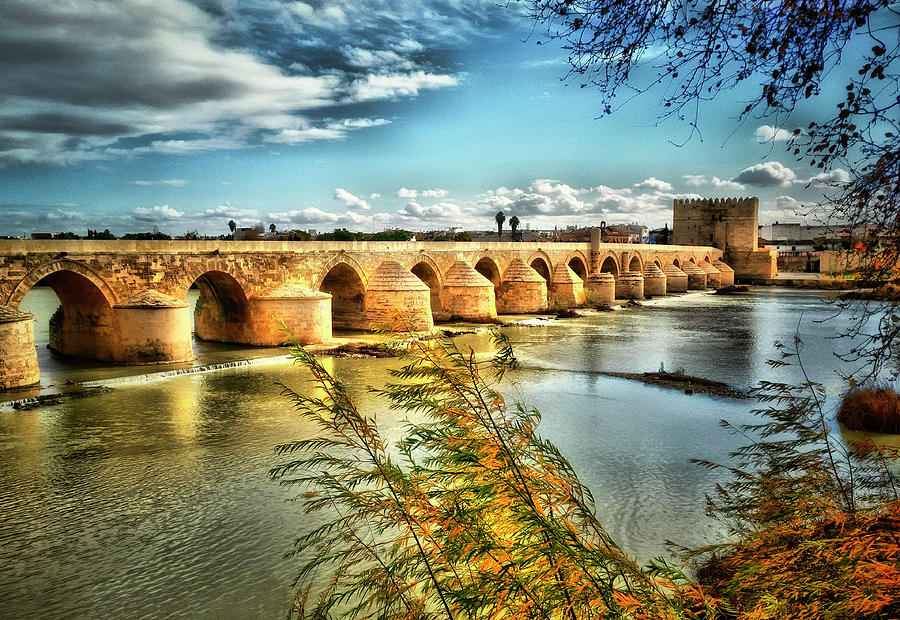 The 1000 year old Roman Bridge over The Guadalquivir River, Cordoba City, Cordoba Province Photograph by Panoramic Images