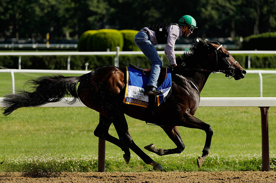 The 148th Belmont Stakes - Previews Photograph by Al Bello