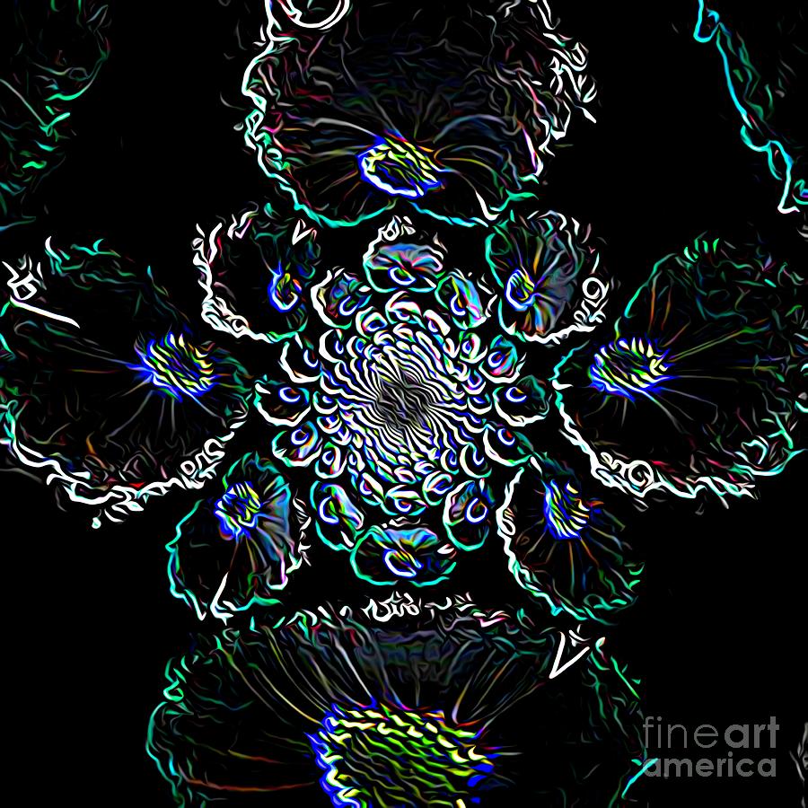 The Abstract Flower On A Black Background Digital Art