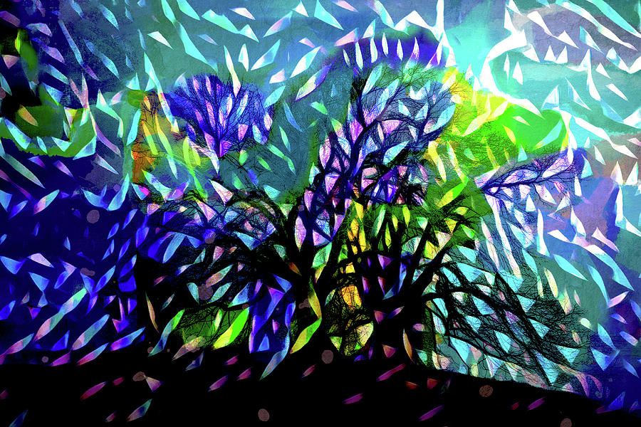 The Abstract Nature of Trees Digital Art by Peggy Collins