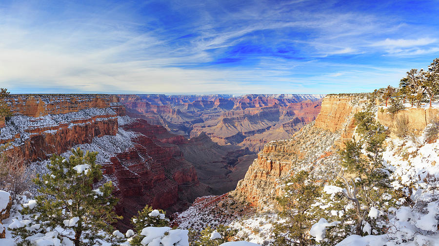 The Abyss - Grand Canyon National Park Photograph by Bridget Calip